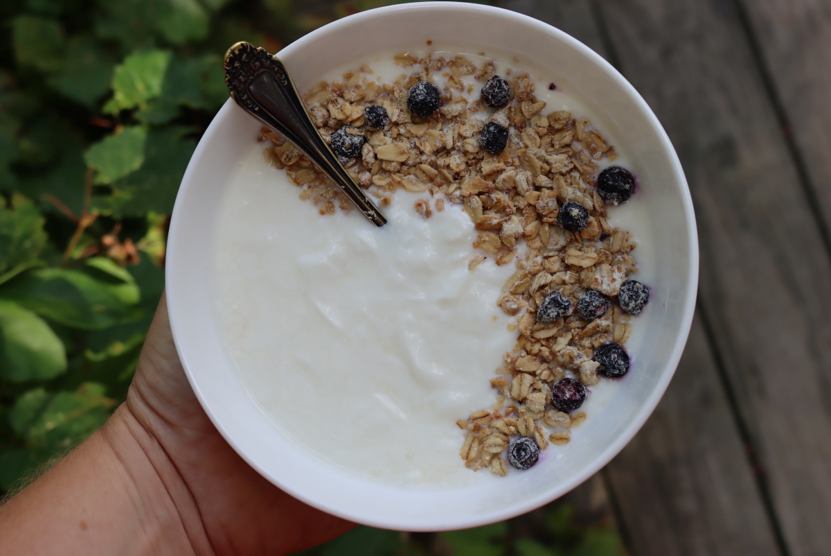 Mesophilic Yogurt: Making Yogurt at Room Temperature