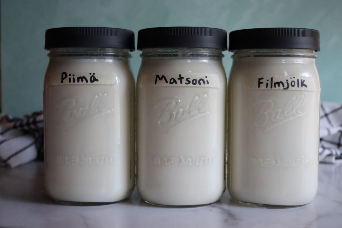 Mesophilic Yogurts Culturing