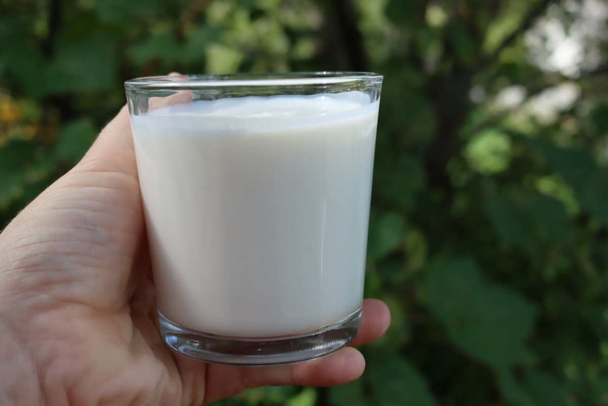 Piima Yogurt in a Glass
