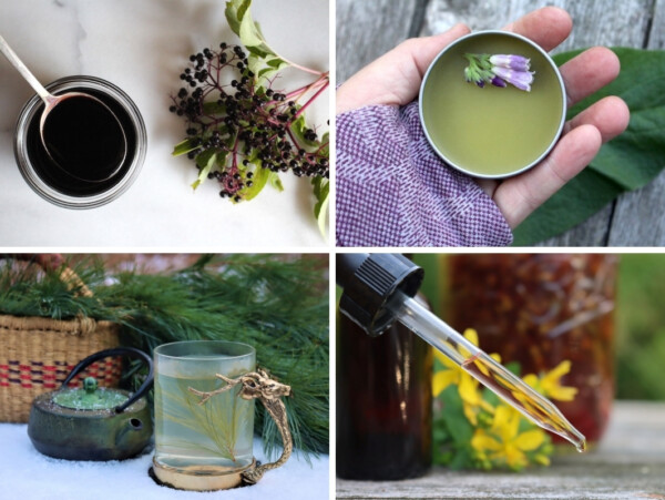 Types of Herbal Preparations