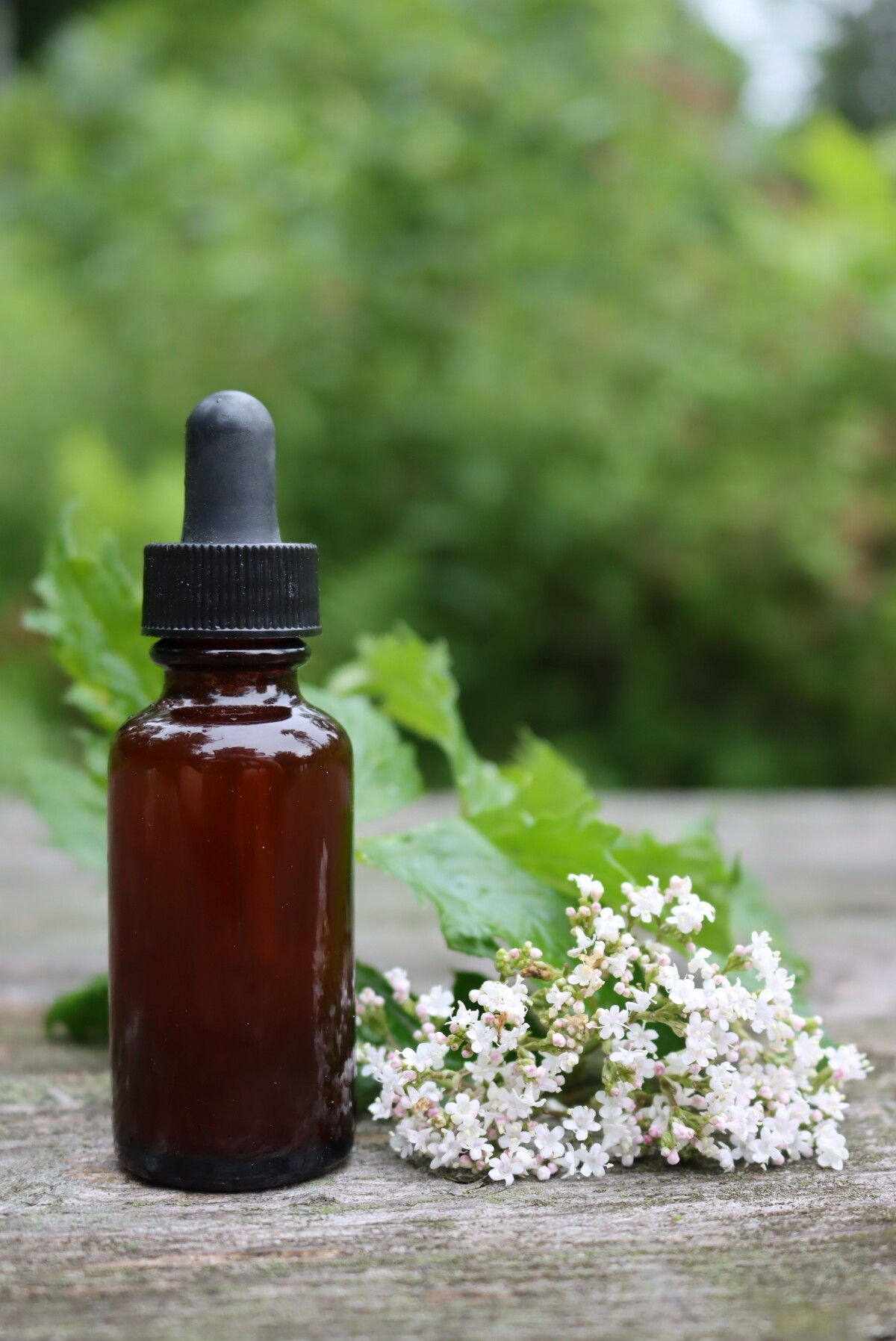 Valerian Tincture