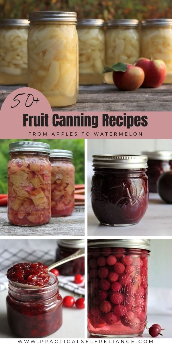 Fruit Canning Recipes