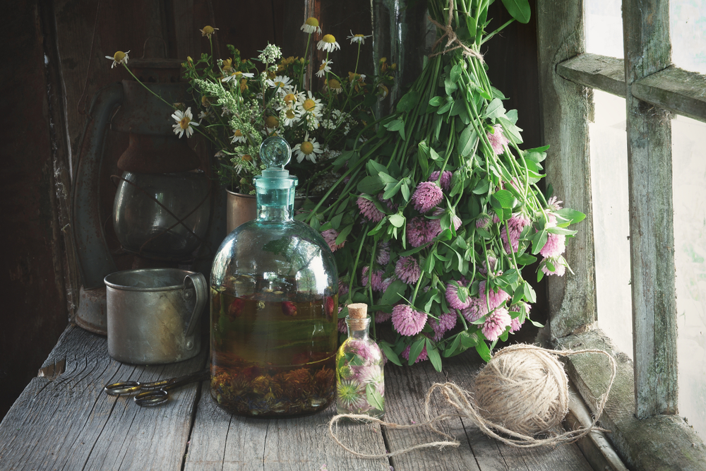 Red Clover Infusion