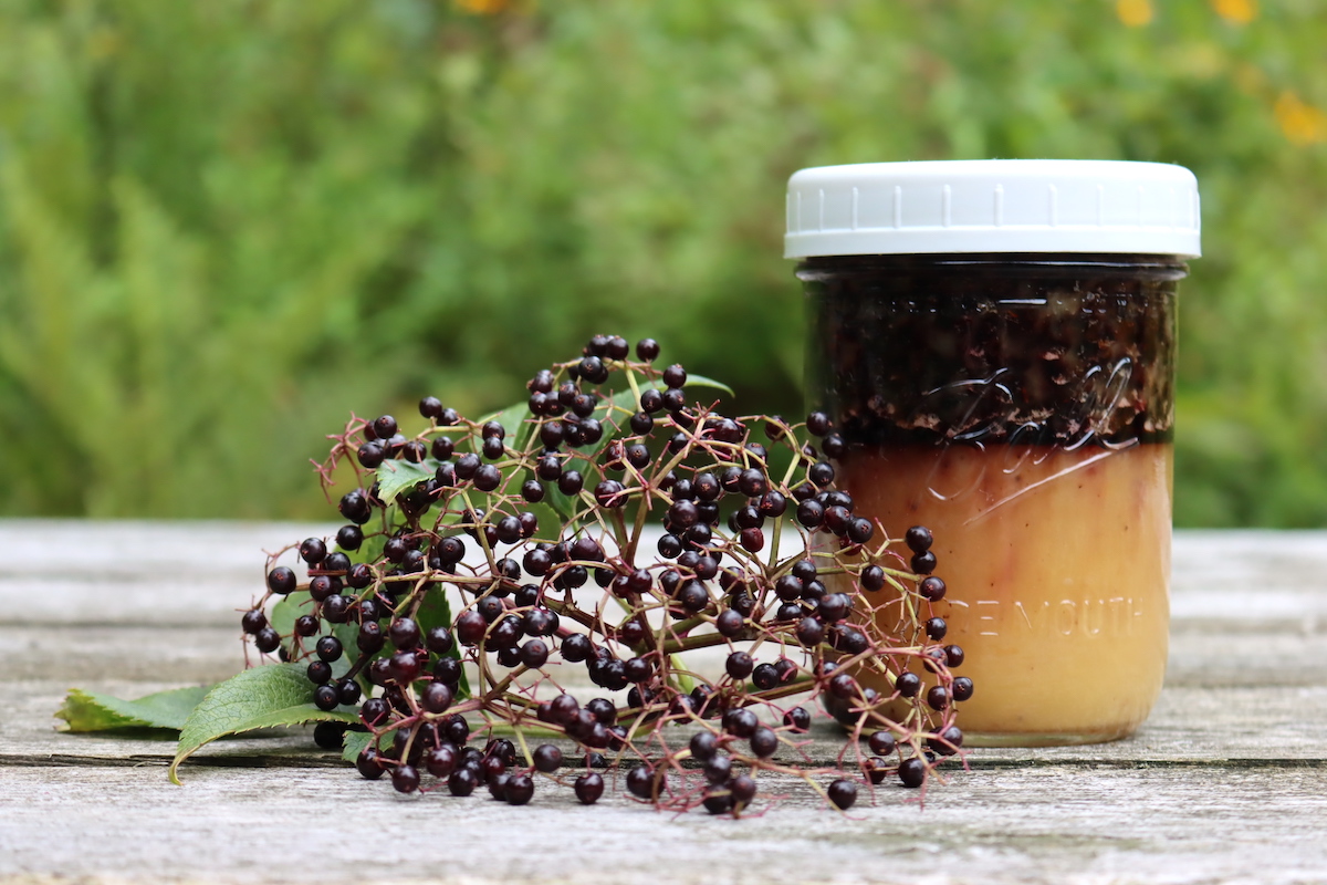 Elderberry Infused Honey
