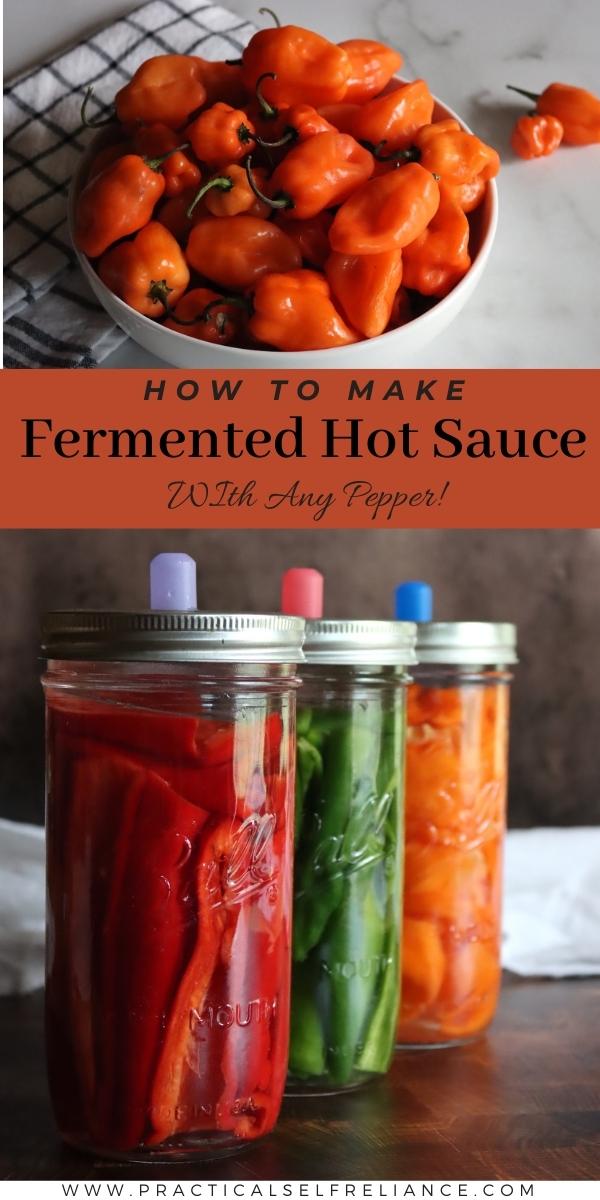How to Make Fermented Hot Sauce