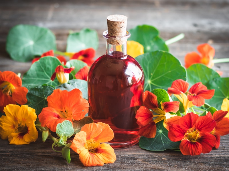 Nasturtium Flower Infused Vinegar Courtesy of Grow Forage Cook Ferment