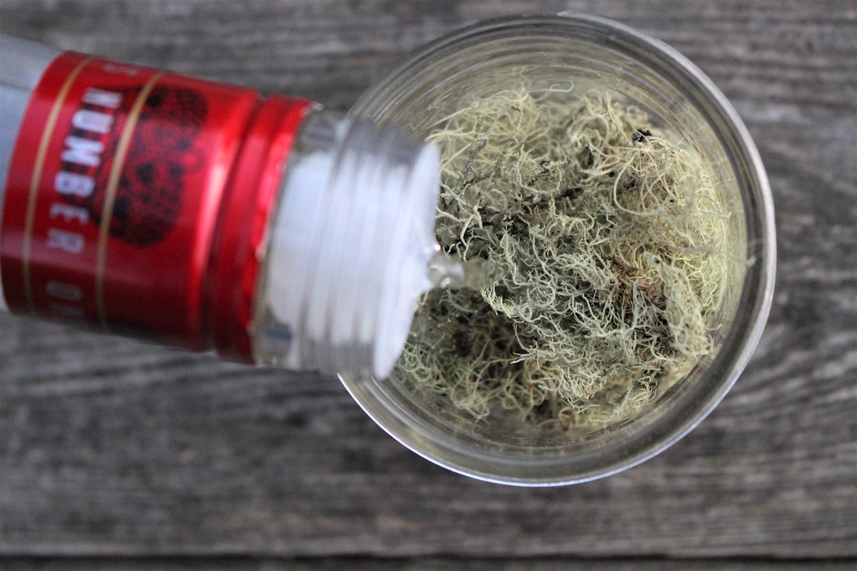 Making Usnea Tincture