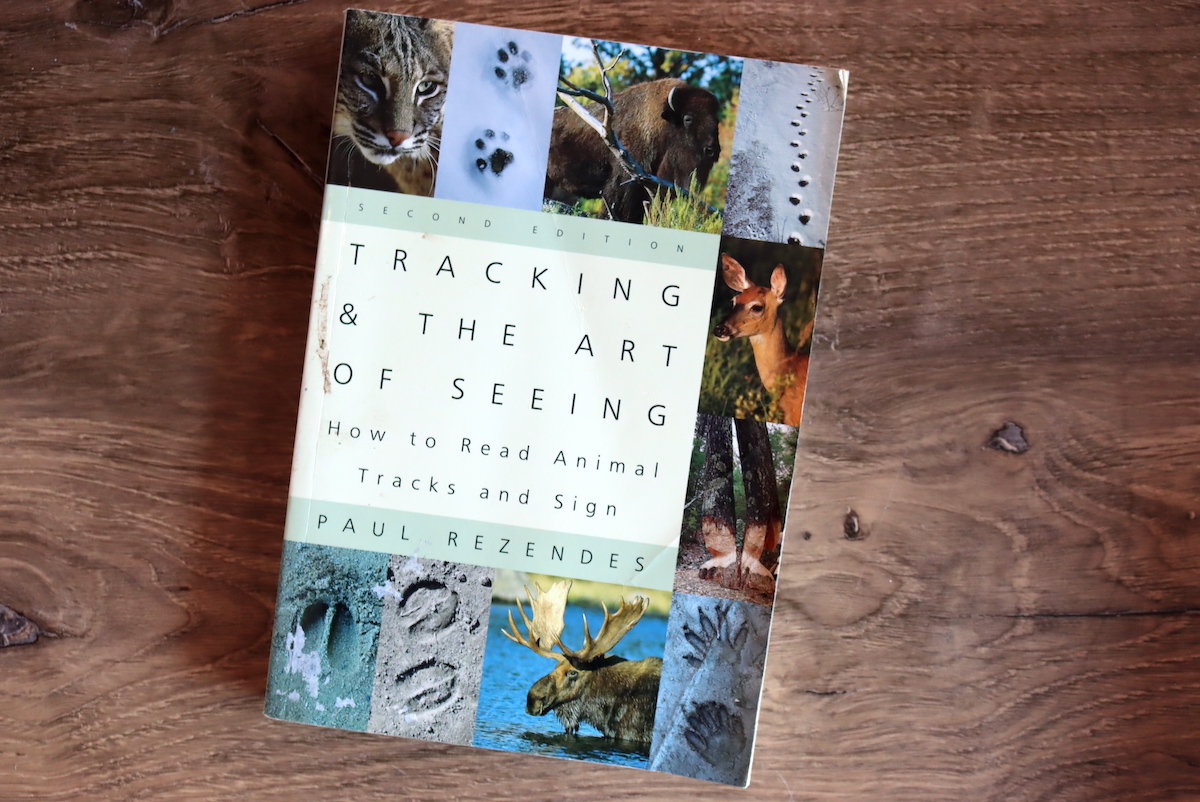 Tracking and The Art of Seeing