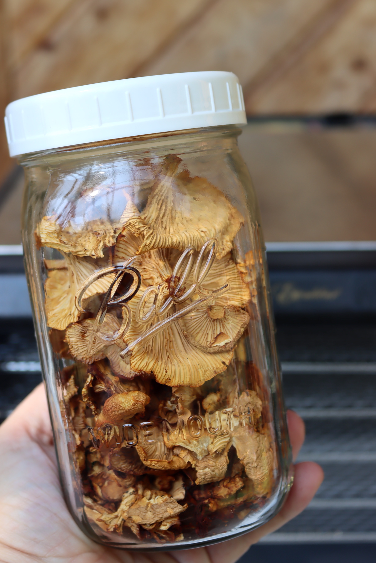 Dehydrated Chanterelles