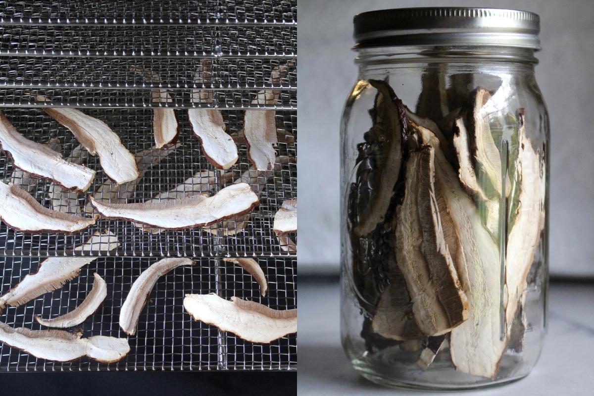 Dehydrating Reishi Mushrooms