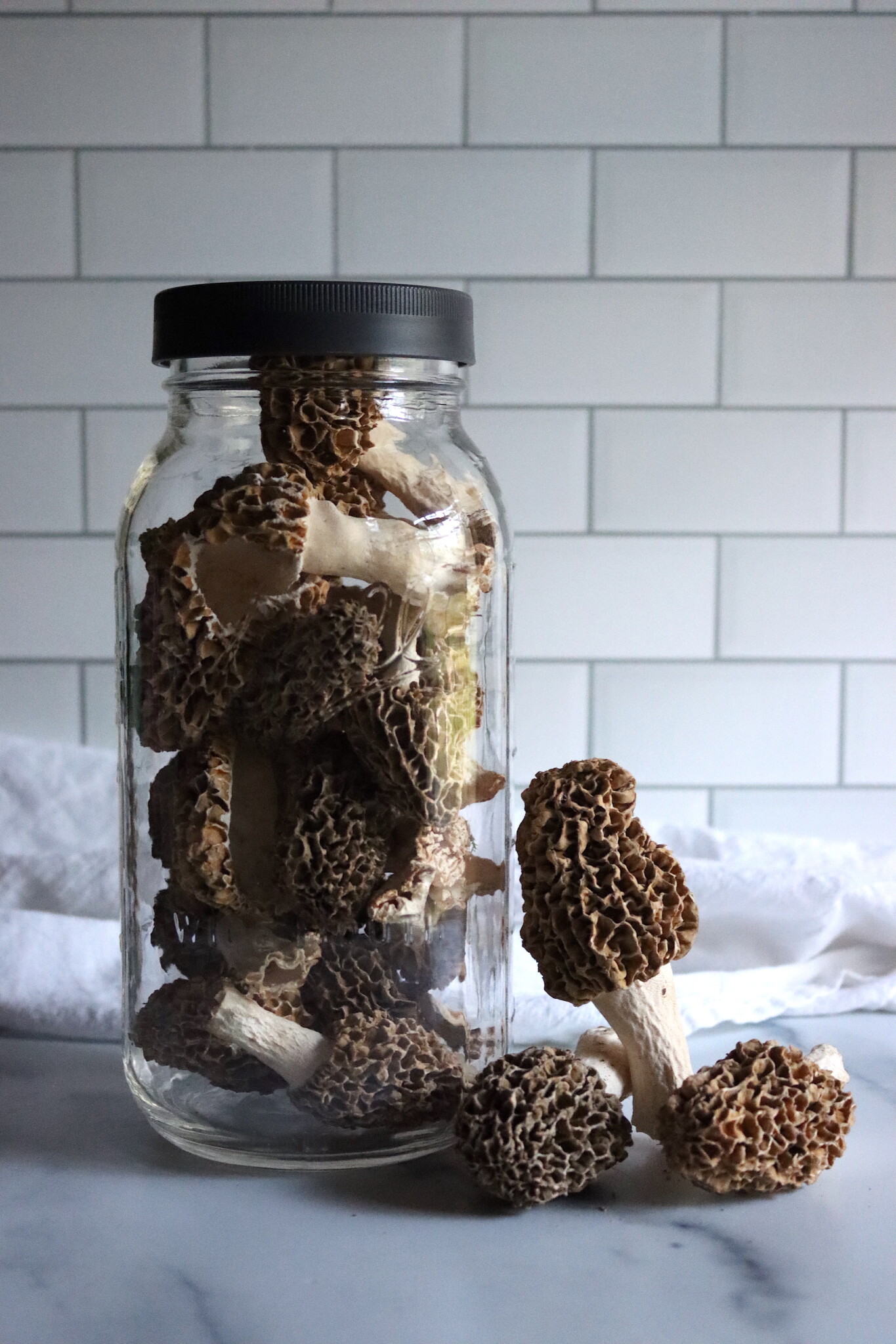 Freeze Dried Morels