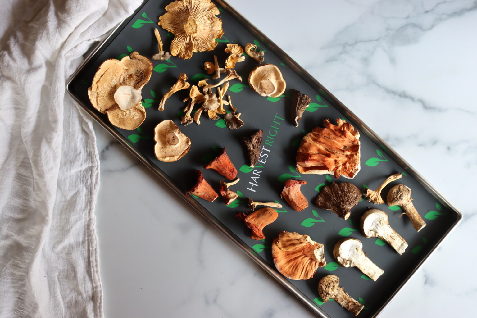 Freeze Drying Mushrooms