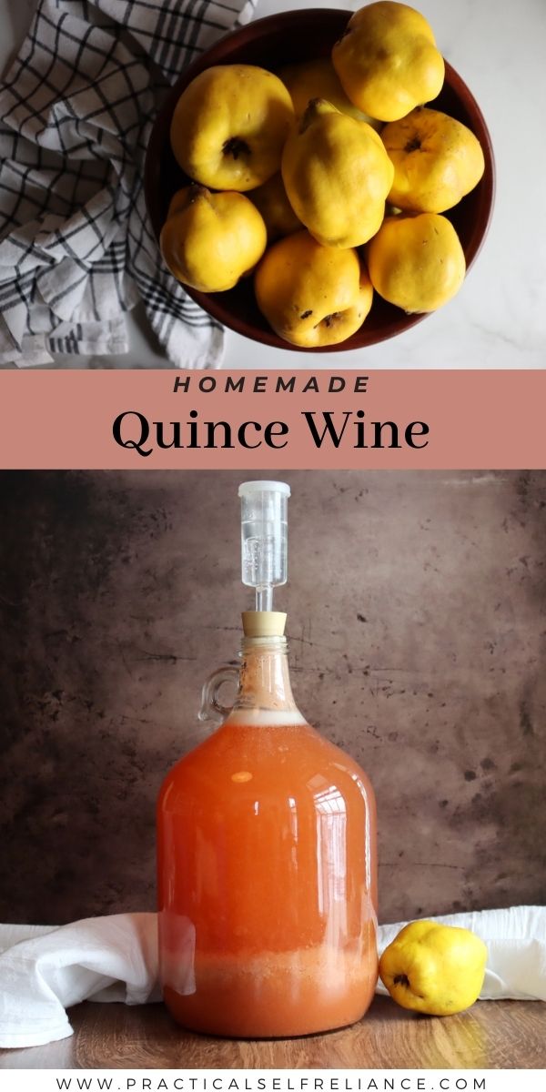 Homemade Quince Wine