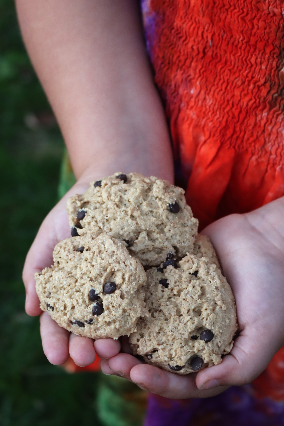 Nutrient Survival Chocolate Chip Cookie Meals