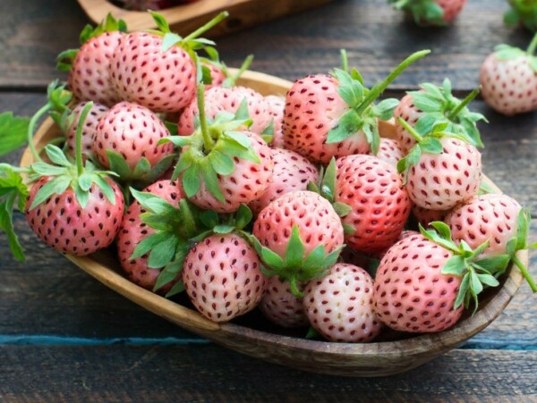 Pineberry Fruit