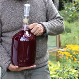 Pyment Grape Mead