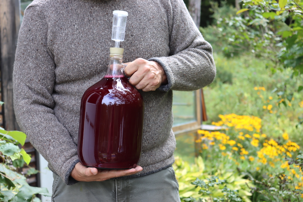 Pyment Grape Mead