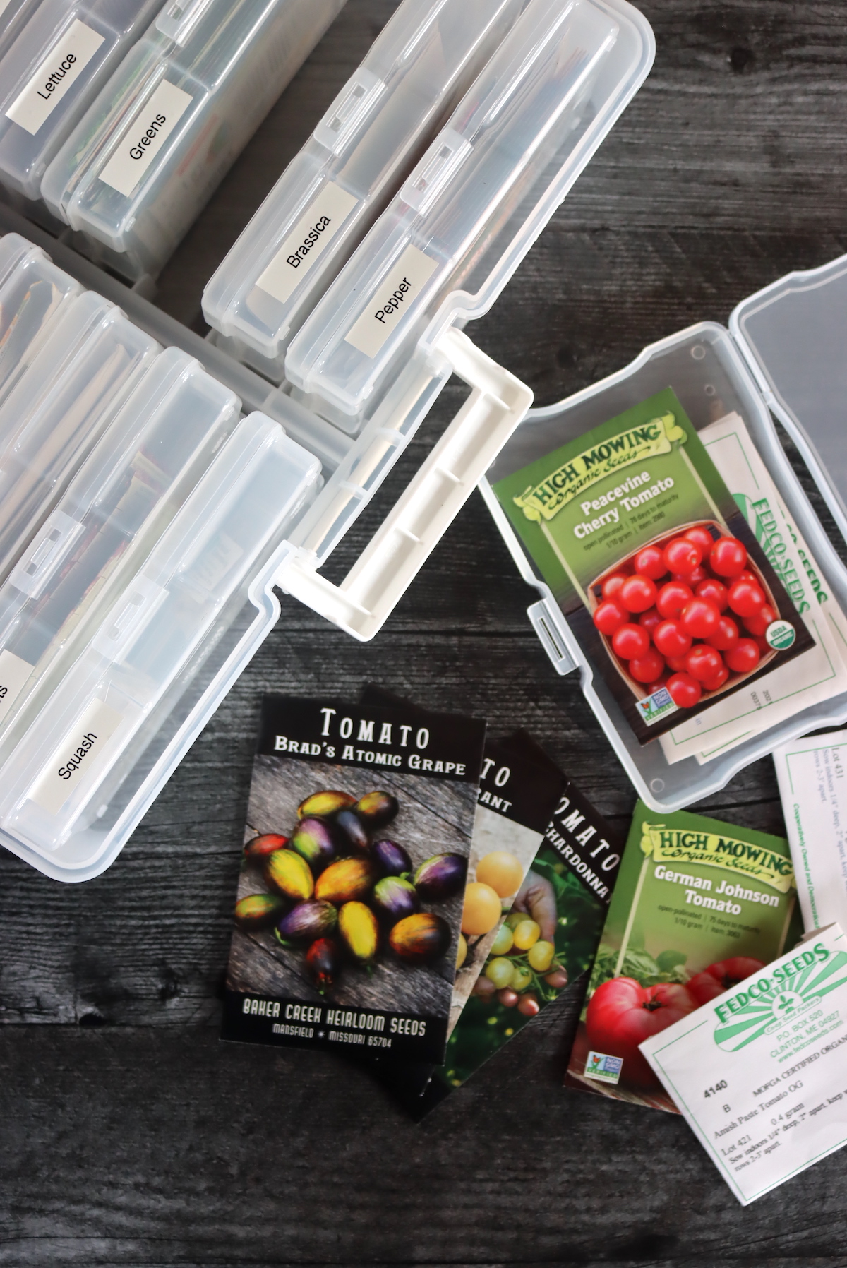 Seed Storage