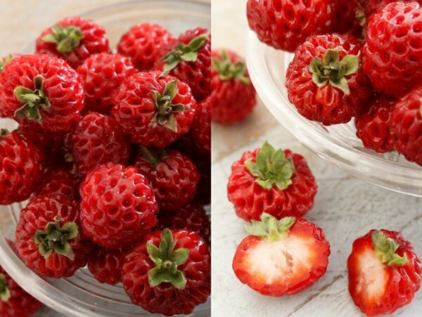 Strasberry