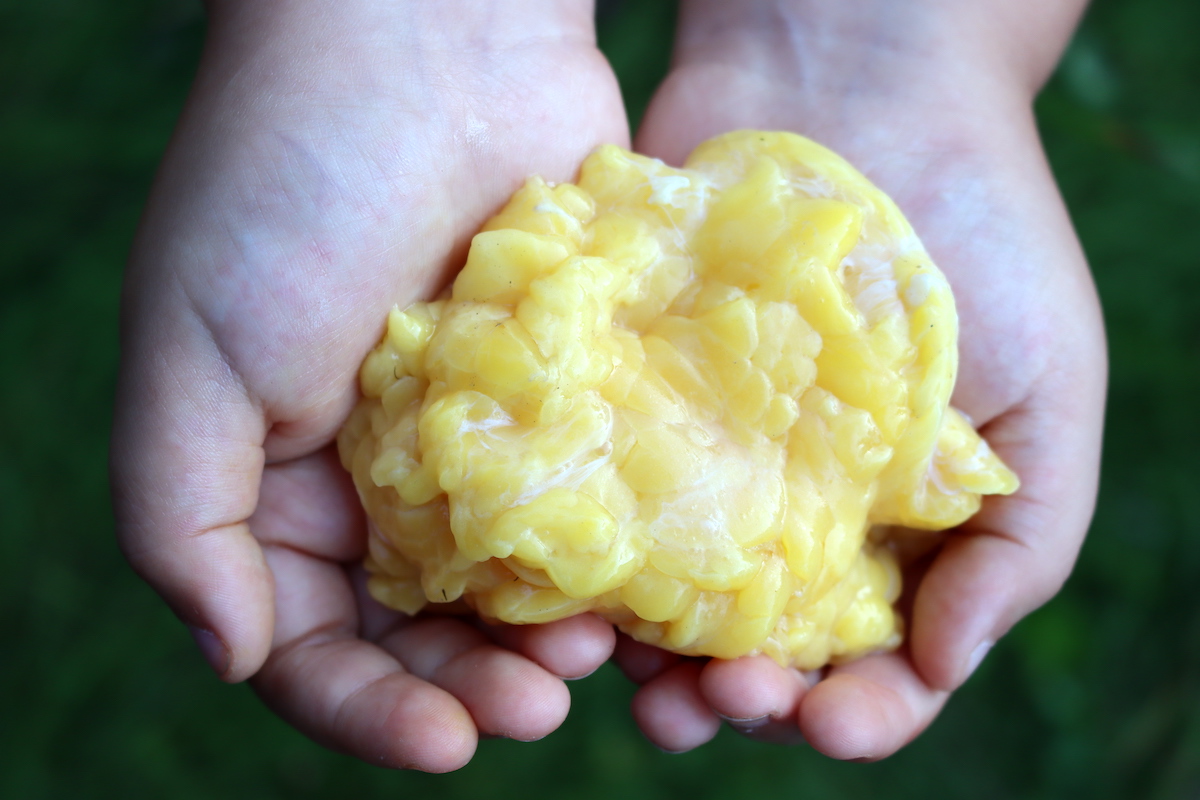 Chicken Fat for Schmaltz