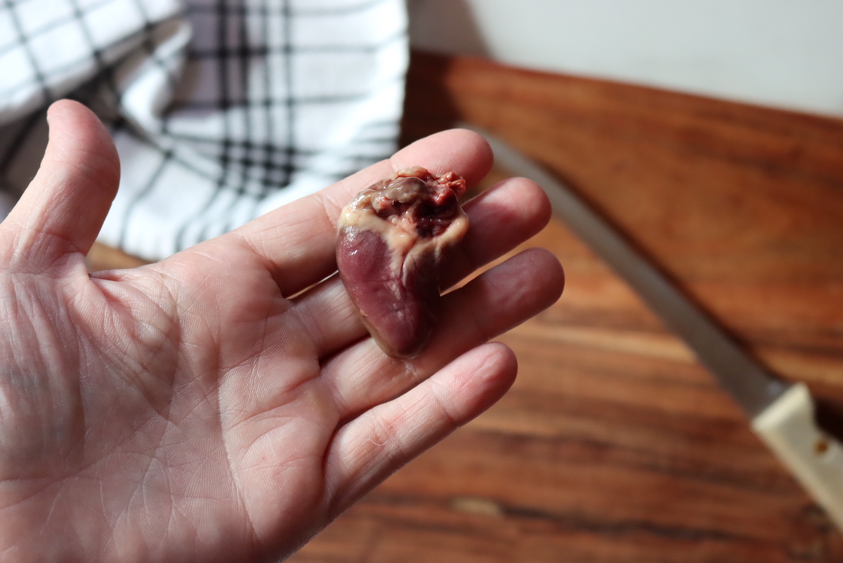 Duck Heart