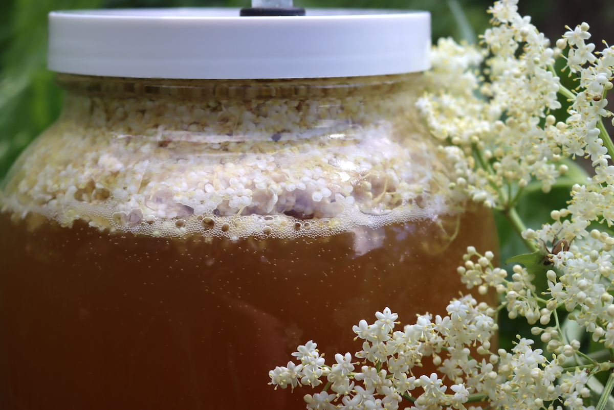 Elderflower Mead