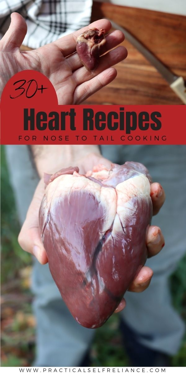 Heart Recipes