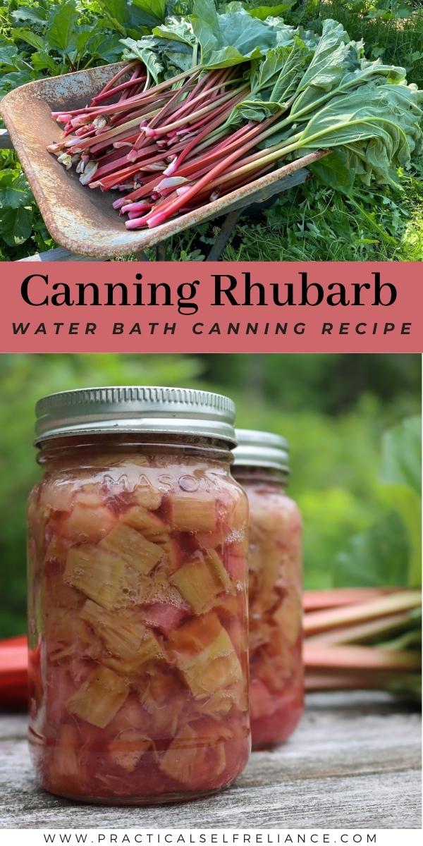 How to Can Rhubarb
