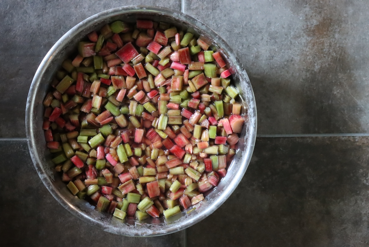 Macerated Rhubarb