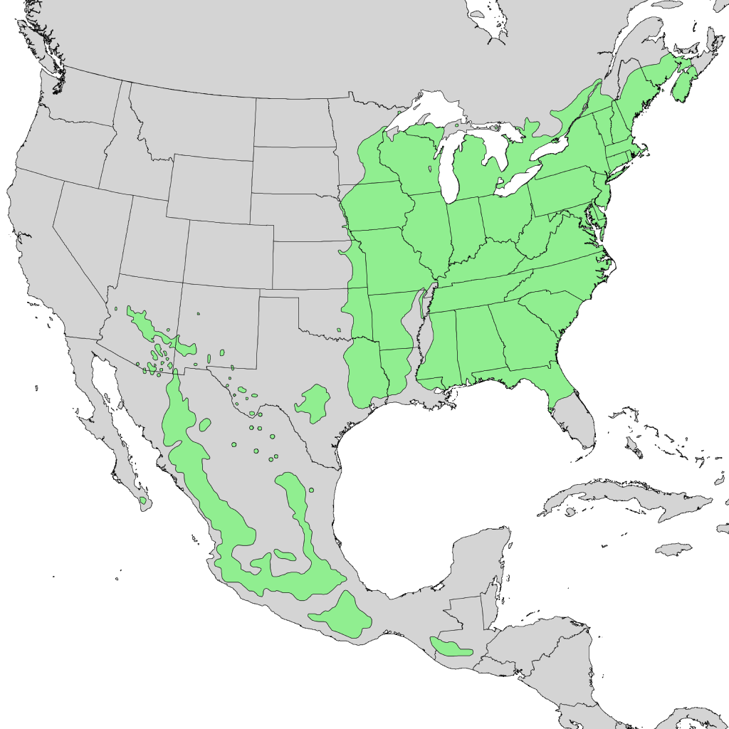 Prunus serotina range map