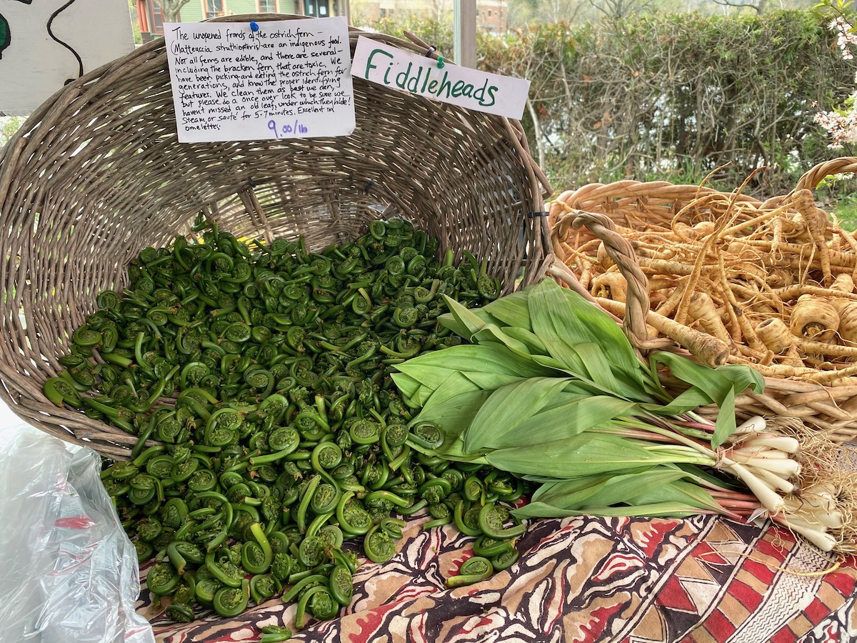 Farmers Market Fiddleheads and Ramps