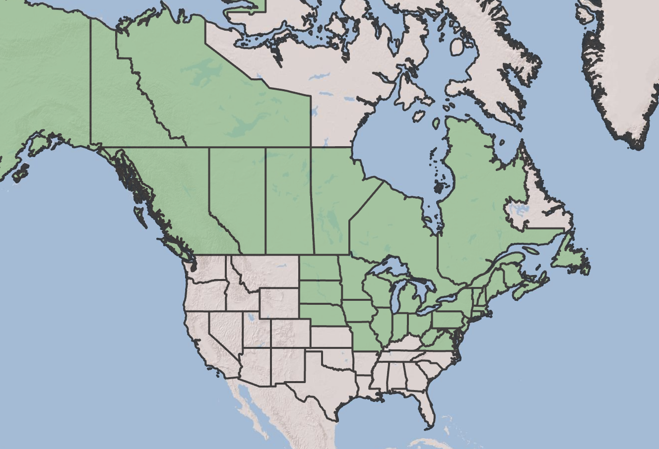 Fiddlehead Range Map Matteuccia struthiopteris