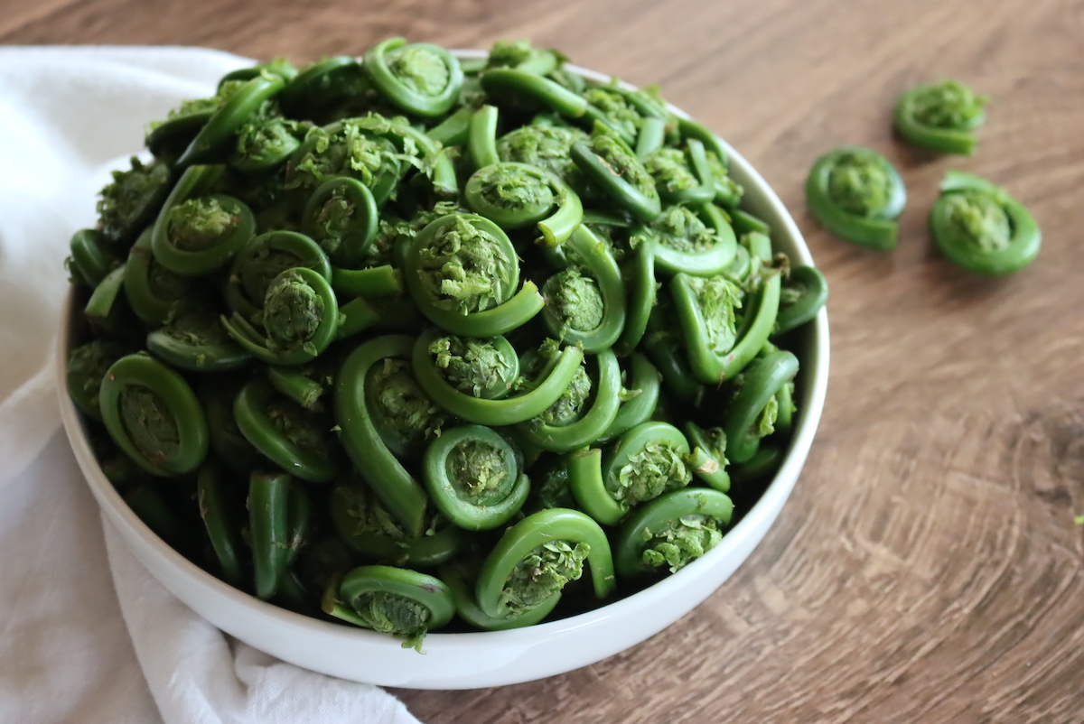 Fiddleheads in bowl, cleaned and ready for cooking