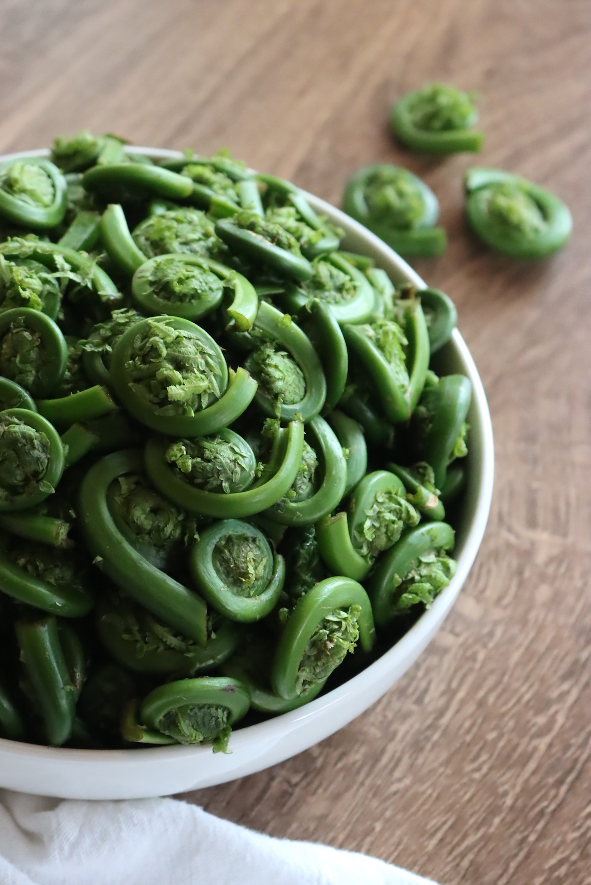 Foraging Fiddlehead Ferns (Matteuccia Struthiopteris) — Practical Self ...