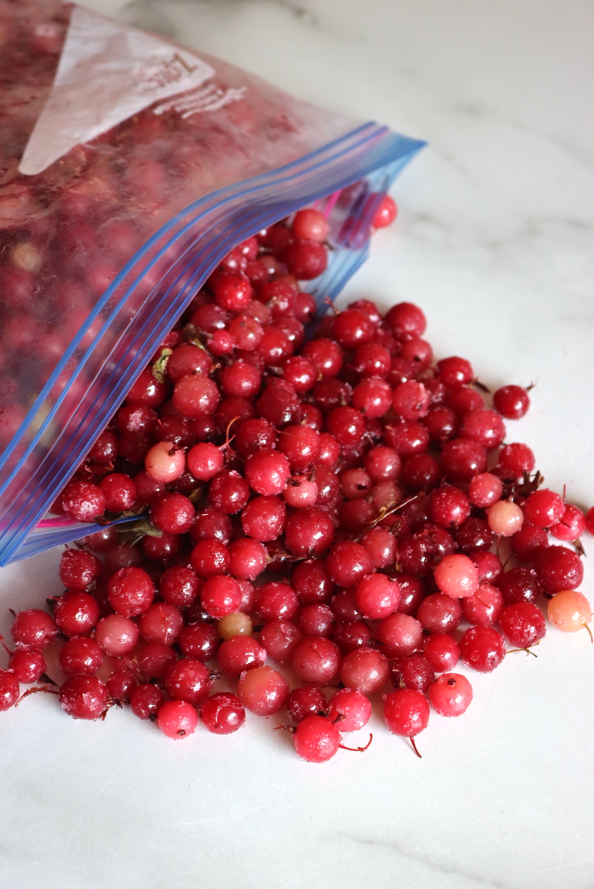 Frozen Gooseberries for winemaking