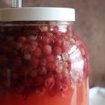Gooseberry Wine
