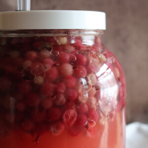 Gooseberry Wine
