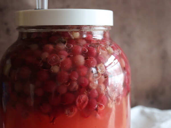 Gooseberry Wine
