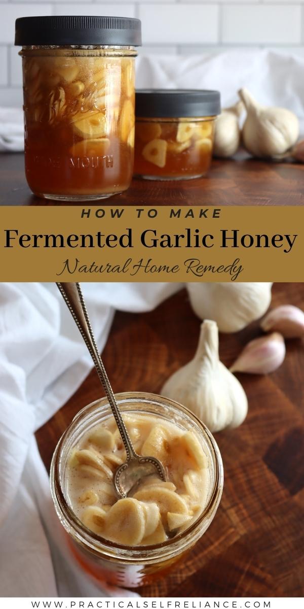 Making Fermented Garlic Honey