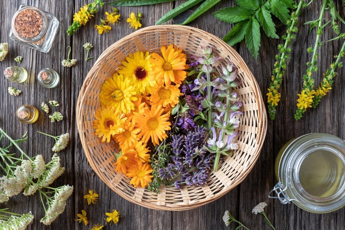 30+ Medicinal Flowers (& How to Use Them)