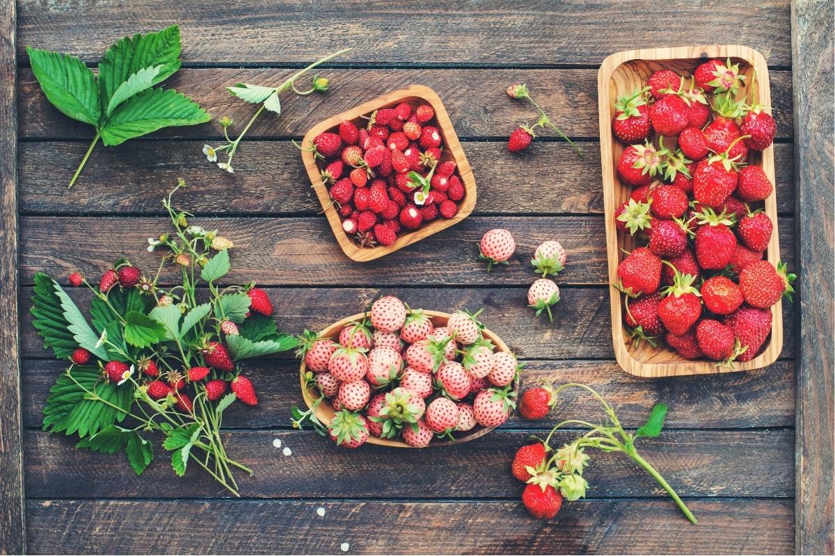 Types of Strawberries