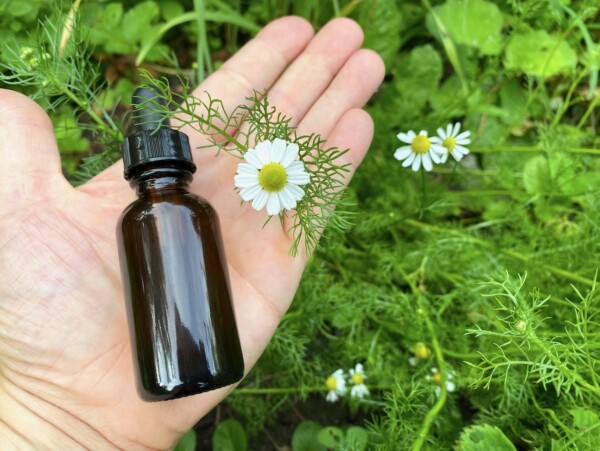 Chamomile Tincture