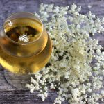 Elderflower wine or mead
