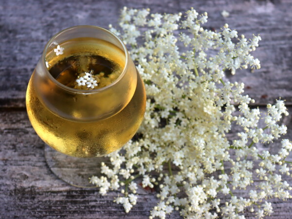 Elderflower wine or mead