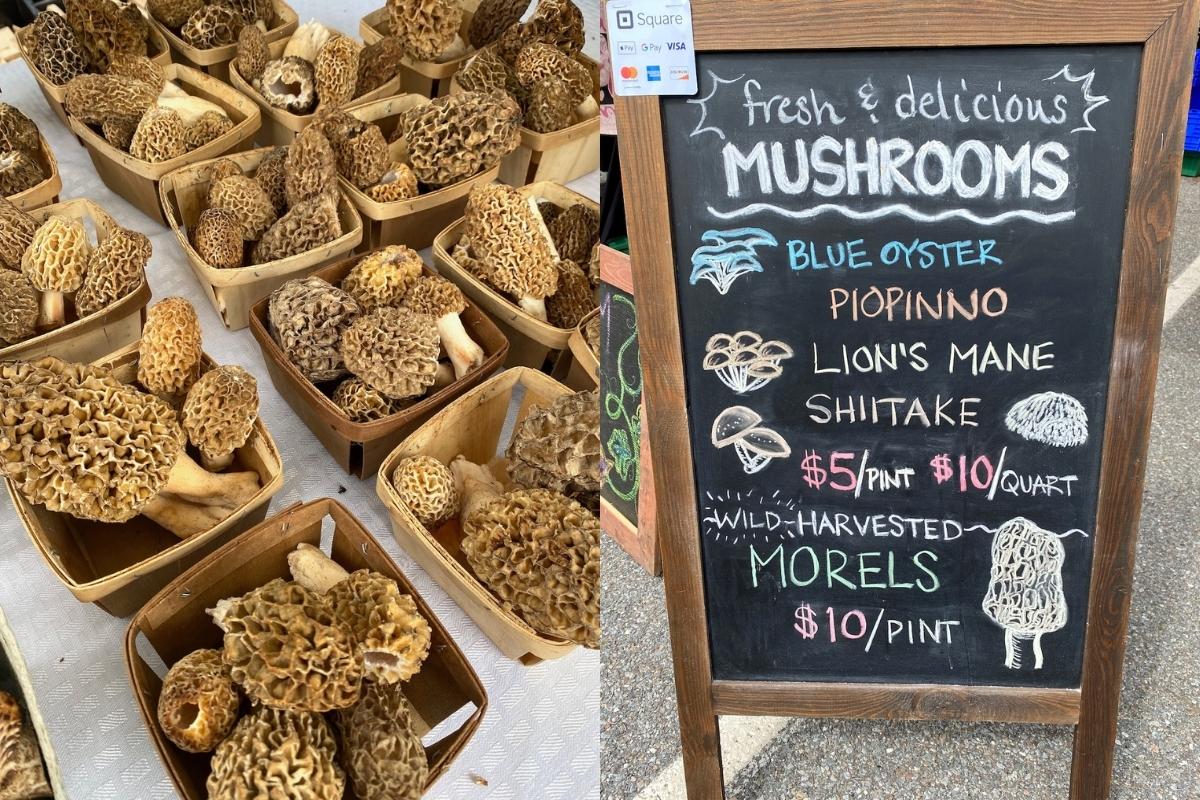 Farmers Market Morels