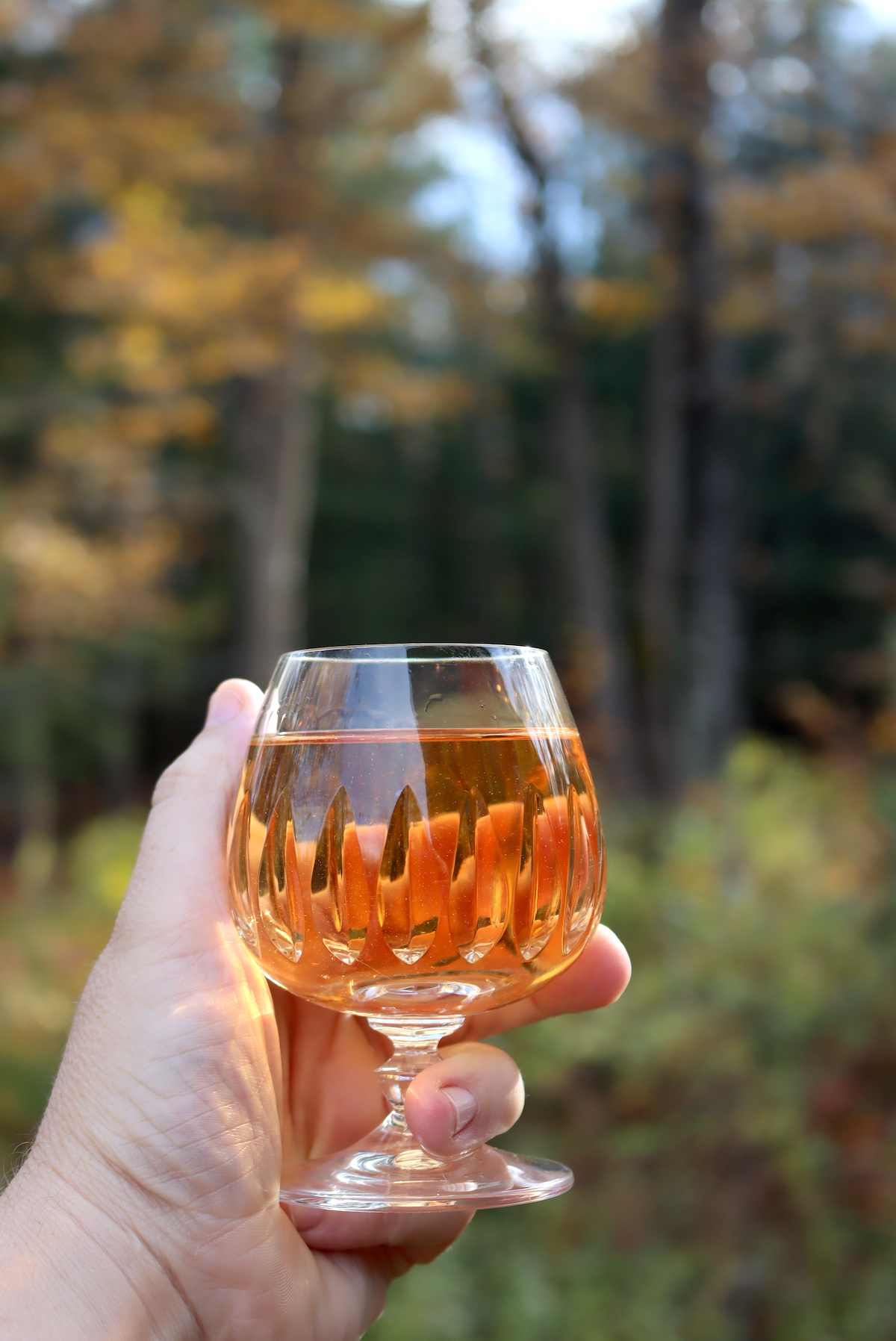 Finished Gooseberry Wine