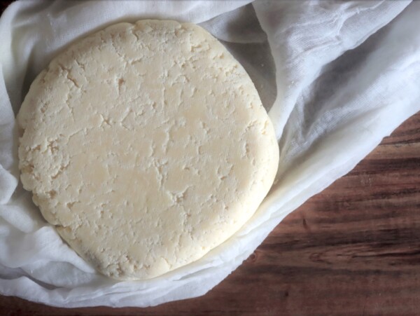 Homemade Paneer