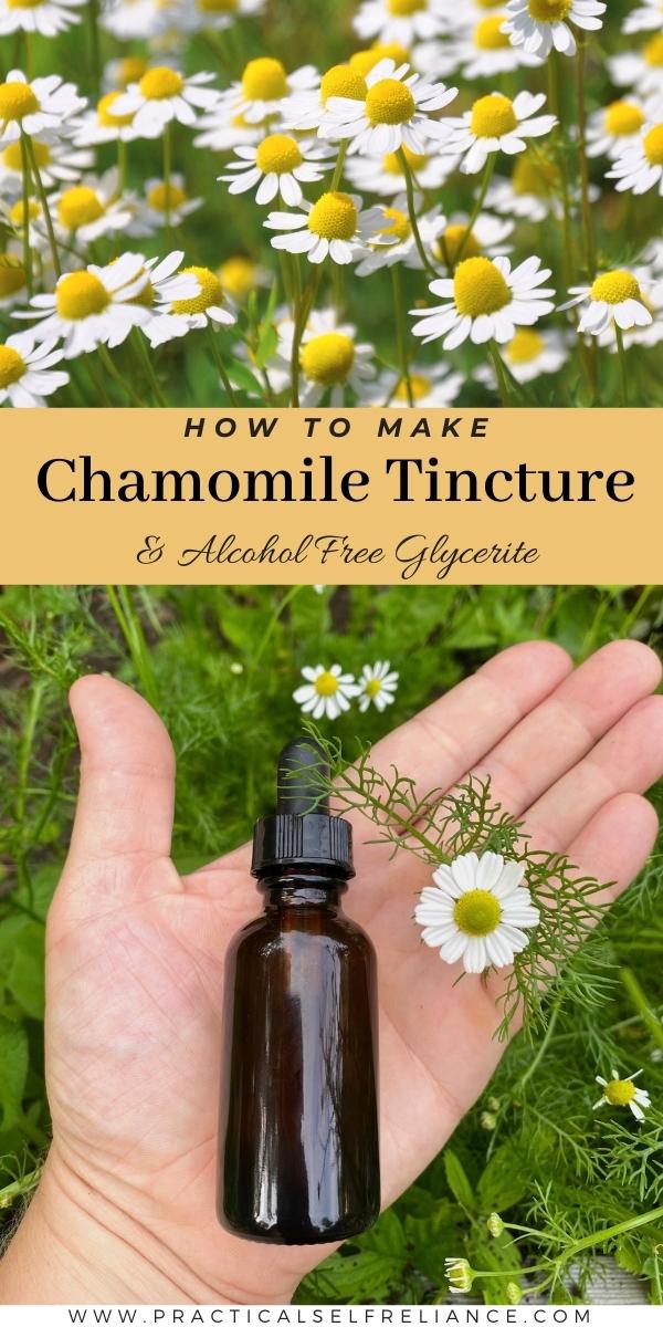How to Make Chamomile Tincture