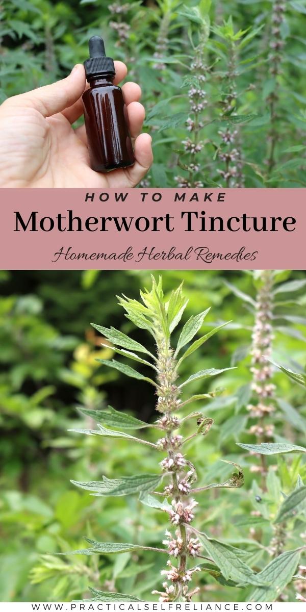 How to Make Motherwort Tincture