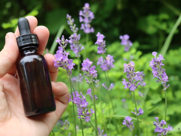 Lavender tincture